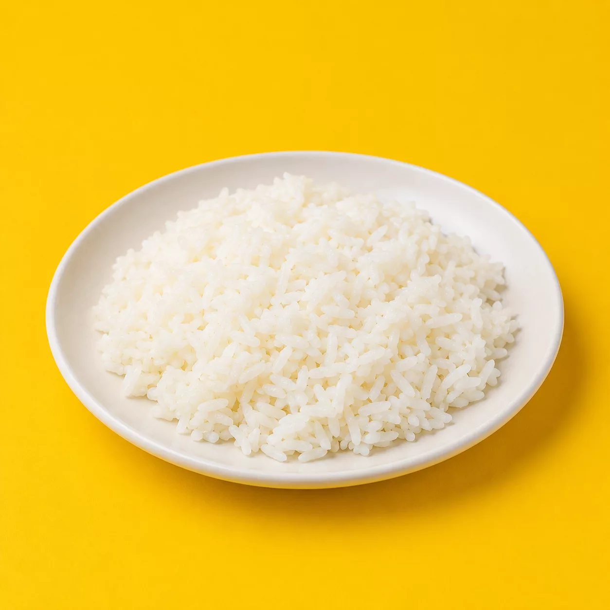 ¿Mi perro puede comer Arroz?