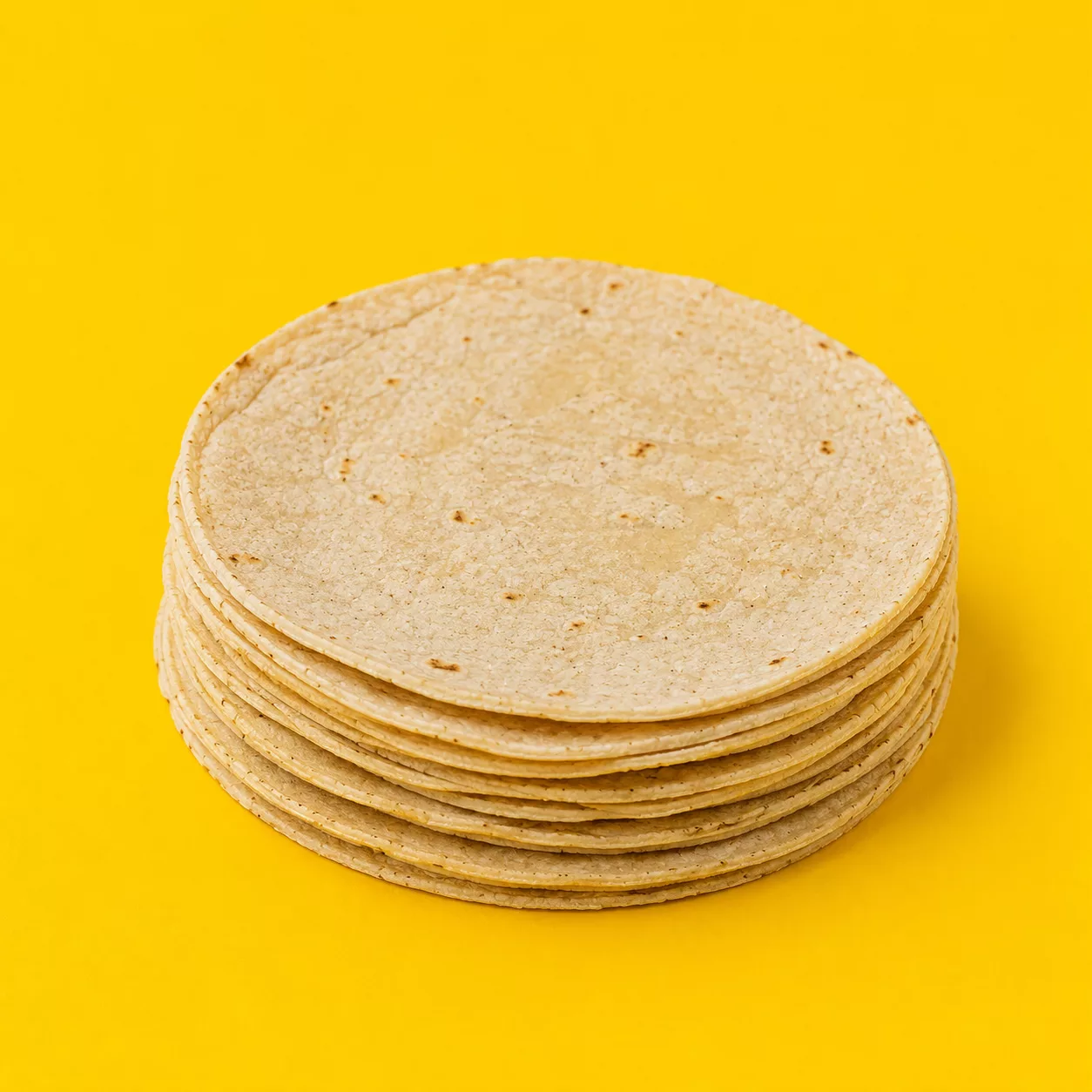 ¿Mi perro puede comer Tortilla?